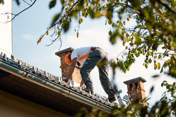 Best Gutter Installation and Roofing  in Woodlands, CA