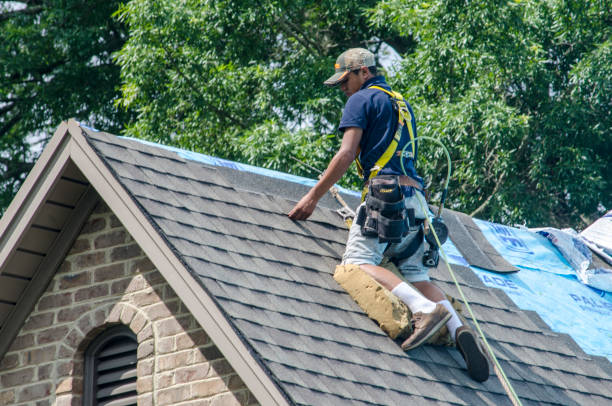 Professional Roofing Contractor in Woodlands, CA